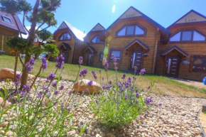 Holiday complex with holiday homes in Rewal